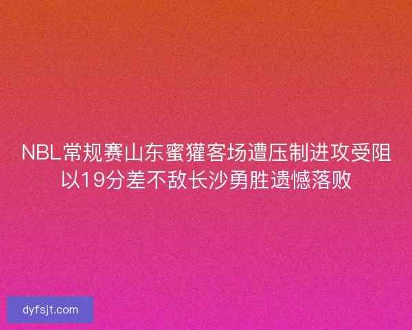 NBL常规赛山东蜜獾客场遭压制进攻受阻以19分差不敌长沙勇胜遗憾落败