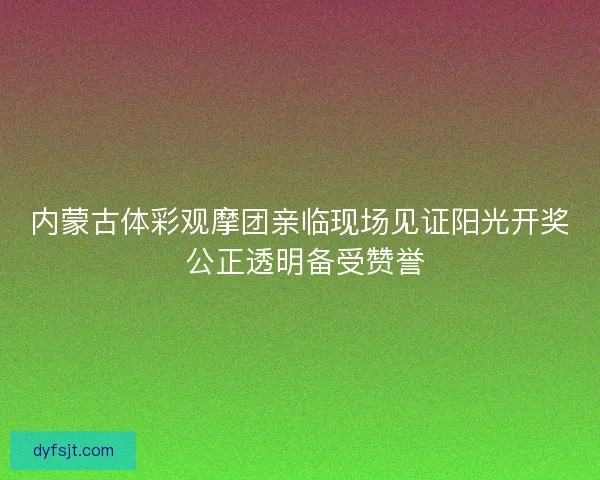 内蒙古体彩观摩团亲临现场见证阳光开奖 公正透明备受赞誉